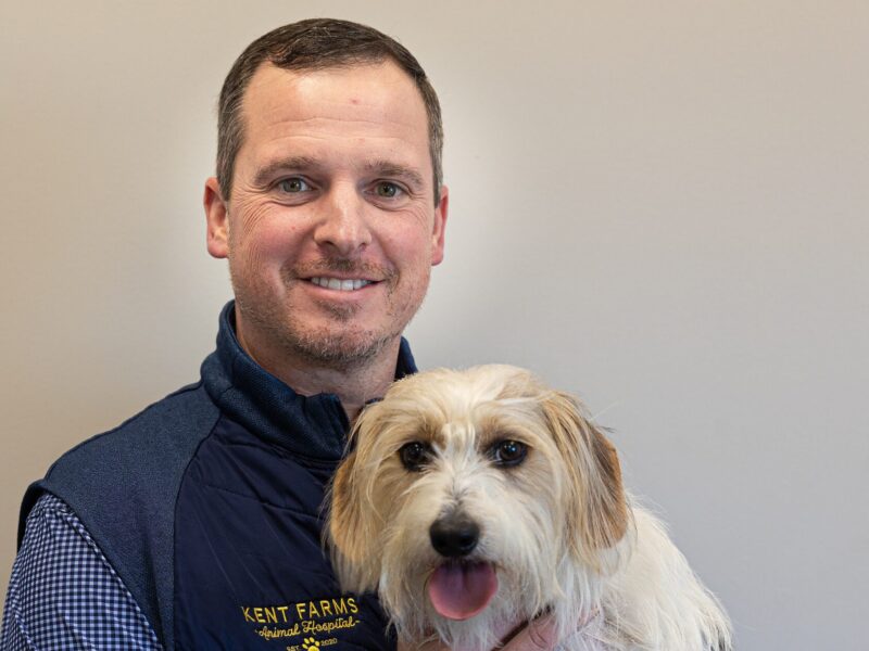 Pet Health: Treating Anxiety